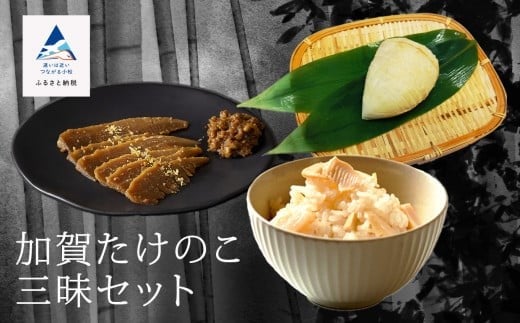 加賀たけのこ三昧セット 筍