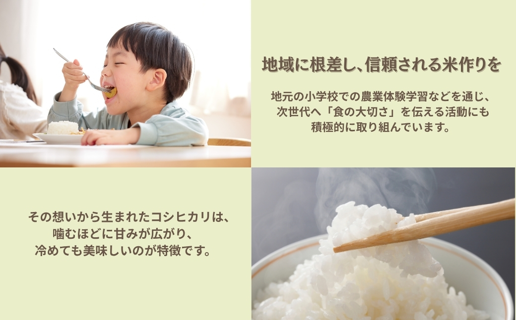 【先行予約】 コシヒカリ 玄米 30kg 令和8年産 米 コメ お米 げんまい 石川県産 小松市産 【有限会社嵐農産】