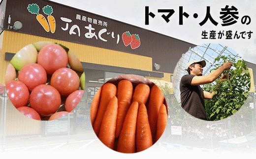 JA小松市 季節の野菜 6回定期便 隔月お届け｜石川県 小松市 ＪＡあぐり