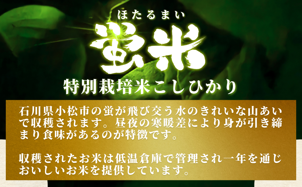 縲手寫邀ウ縲 繝代ャ繧ッ縺斐ッ繧180gテ12蛟句・繧 迚ケ蛻・譬ス蝓ケ邀ウ縺薙@縺イ縺九j 繝代ャ繧ッ縺秘」ッ 繝代ャ繧ッ繝ゥ繧、繧ケ 繧ウ繧キ繝偵き繝ェ 12鬟 遏ウ蟾晉恁 蟆乗收蟶ら肇 縺顔アウ 髦イ轣ス逕ィ