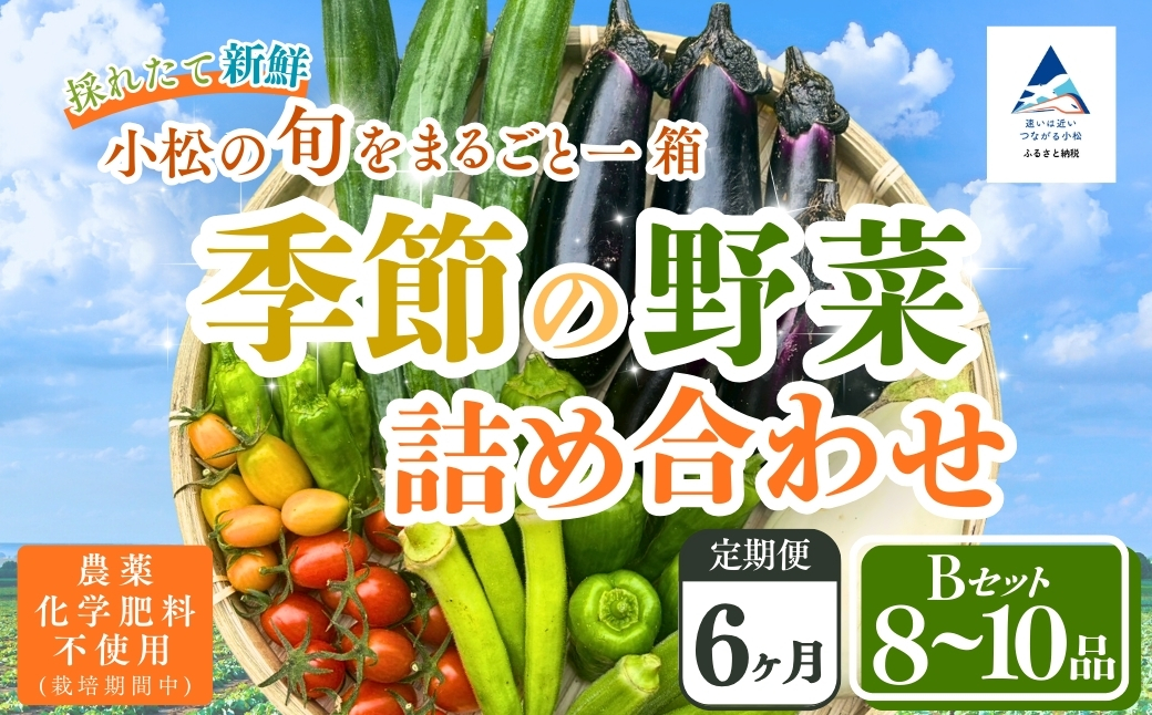 【定期便6ヶ月】季節の野菜詰め合わせ Bセット 野菜食べ比べ 旬の野菜 野菜セット 定期便 | 石川県 小松市【Kacchan.Farm】