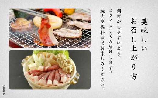 猪肉 イノシシ肉 食べ比べセット（バラ モモ ウデ） 合計530g 天然ジビエ 冷凍 スライス | 石川県 小松市 【ジビエアトリエ加賀の國】