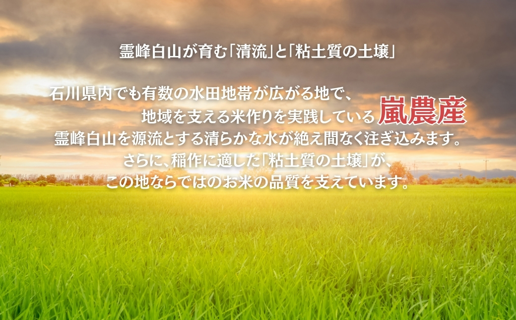 【先行予約】 コシヒカリ 玄米 30kg 令和8年産 米 コメ お米 げんまい 石川県産 小松市産 【有限会社嵐農産】