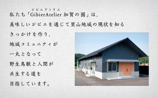 å·ç»è£œçªèãœãŒã»ãŒãžã»ãã | ç³å·ç å°æŸåž ããžããšã¢ããªãšå è³ã®åã