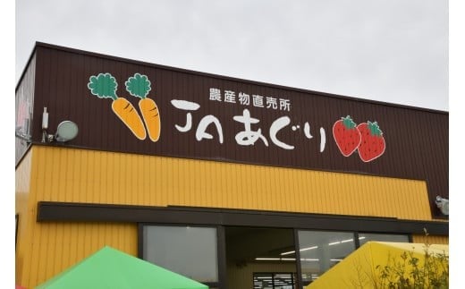 季節の野菜詰合せ 旬の野菜セット 野菜｜石川県 小松市 ＪＡあぐり