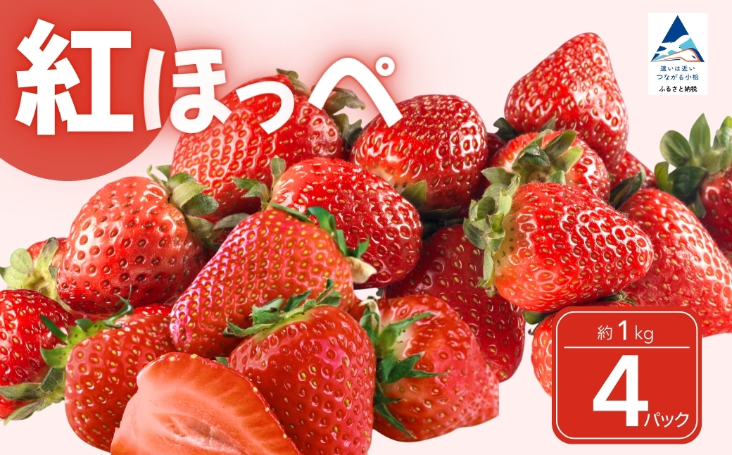 こまつイチゴ 紅ほっぺ 【 4パック（約1kg）】苺 べにほっぺ | 石川県 小松市