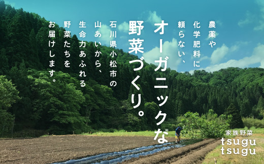 さつまいも 野菜 おやつ【農薬・化学肥料不使用】ねっとり甘~い おいもさん（紅はるか） ５kg