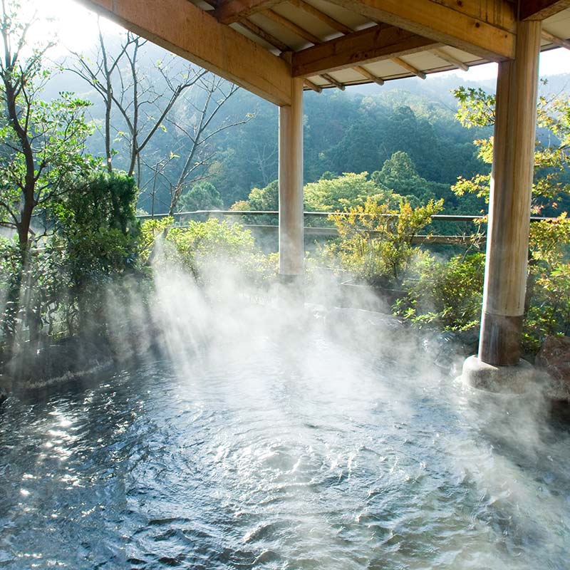 平日限定 山中温泉 花紫 一泊 ペアご宿泊券 ＜料理長おまかせ懐石＞ 1泊2食付 ペア宿泊券 和室 平日 ペア 2名 宿泊券 食事付き 宿泊 宿 旅館 ホテル 旅行 レジャー 観光 復興 震災 コロナ 能登半島地震復興支援 北陸新幹線 F6P-2047