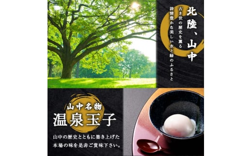 山中名物 温泉玉子 20個入り 山中温泉 温玉 全半熟 半熟 卵 たまご 小分け 朝食  グルメ 食品 復興 震災 コロナ 能登半島地震復興支援 北陸新幹線 F6P-2809