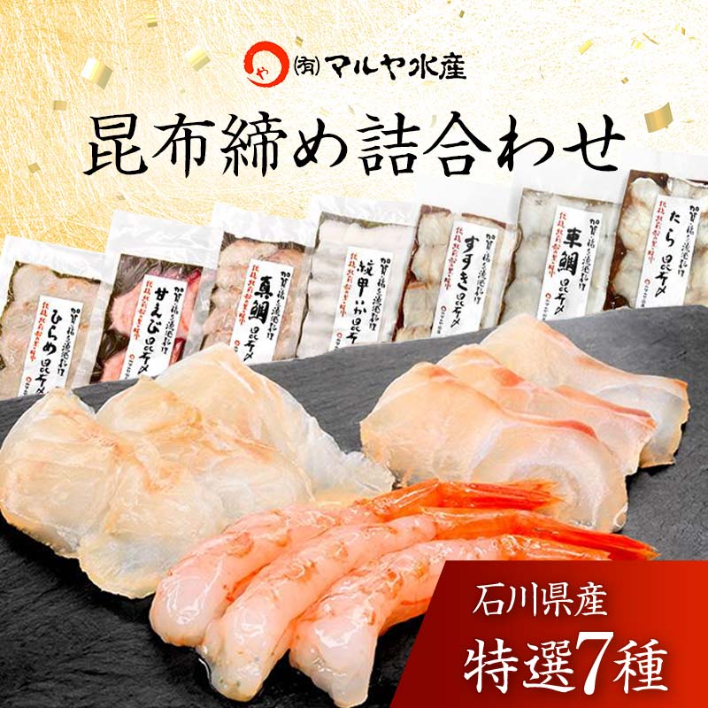 石川県・加賀市 昆布締め 刺身 おまかせ 7種 詰合せ 復興　震災　コロナ【能登半島地震復興支援】 北陸新幹線 F6P-1890