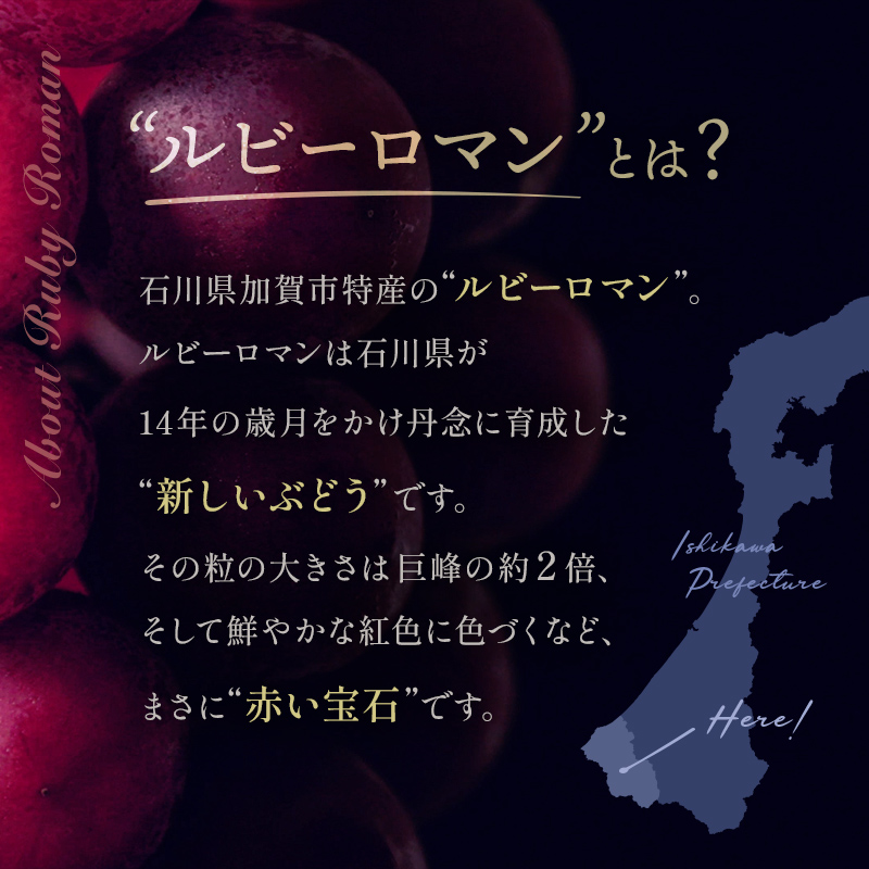 【先行予約】ルビーロマン 1房 500g（令和7年8月中旬～9月上旬頃順次発送） ぶどう ブドウ 大粒 先行予約 予約 冷蔵配送 くだもの 果物 フルーツ ご当地 食品 F6P-2104