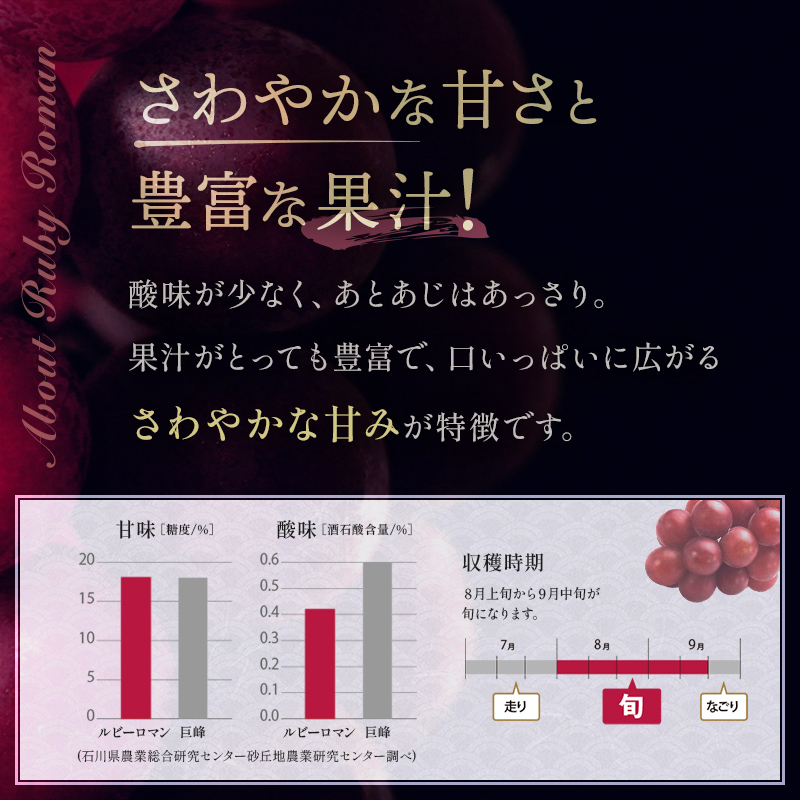 【先行予約】ルビーロマン 1房 500g（令和7年8月中旬～9月上旬頃順次発送） ぶどう ブドウ 大粒 先行予約 予約 冷蔵配送 くだもの 果物 フルーツ ご当地 食品 F6P-2104