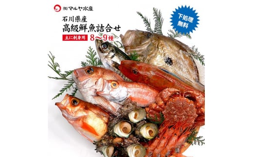 旬の鮮魚詰合せ 8～9種 下処理済み 旬 獲れたて 鮮魚 刺身用 詰合せ セット 海産物 海の幸 魚 魚介 おかず おつまみ 肴 国産 食品 復興 震災 コロナ 能登半島地震復興支援 北陸新幹線 F6P-0039