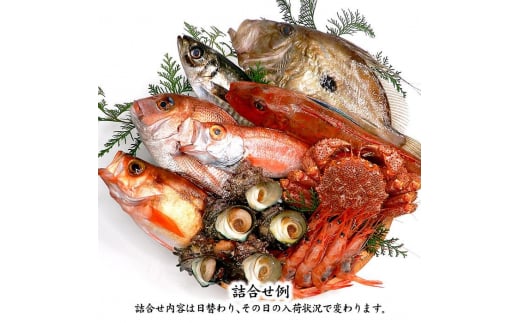 旬の鮮魚詰合せ 8～9種 下処理済み 旬 獲れたて 鮮魚 刺身用 詰合せ セット 海産物 海の幸 魚 魚介 おかず おつまみ 肴 国産 食品 復興 震災 コロナ 能登半島地震復興支援 北陸新幹線 F6P-0039