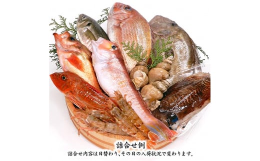 旬の鮮魚詰合せ 8～9種 下処理済み 旬 獲れたて 鮮魚 刺身用 詰合せ セット 海産物 海の幸 魚 魚介 おかず おつまみ 肴 国産 食品 復興 震災 コロナ 能登半島地震復興支援 北陸新幹線 F6P-0039