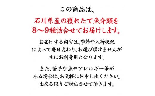 旬の鮮魚詰合せ 8～9種 下処理済み 旬 獲れたて 鮮魚 刺身用 詰合せ セット 海産物 海の幸 魚 魚介 おかず おつまみ 肴 国産 食品 復興 震災 コロナ 能登半島地震復興支援 北陸新幹線 F6P-0039