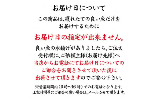 旬の鮮魚詰合せ 8～9種 下処理済み 旬 獲れたて 鮮魚 刺身用 詰合せ セット 海産物 海の幸 魚 魚介 おかず おつまみ 肴 国産 食品 復興 震災 コロナ 能登半島地震復興支援 北陸新幹線 F6P-0039