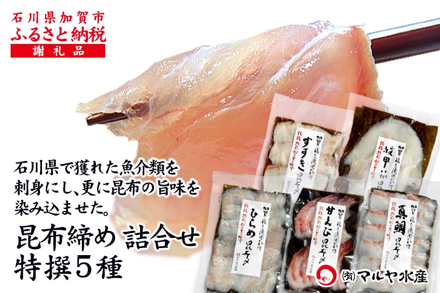 昆布締め詰合せ おまかせ5種 無添加 昆布締め 刺身 おまかせ セット 詰合せ 真空包装 おつまみ 肴 海産物 海の幸 魚介 国産 食品 復興 震災 コロナ 能登半島地震復興支援 北陸新幹線 F6P-0562