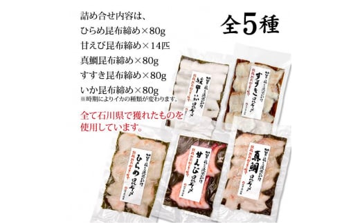 石川県・加賀市 昆布締め 刺身 おまかせ 5種 詰合せ F6P-0562