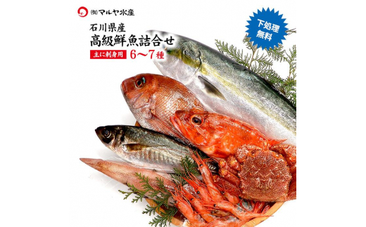 石川県・加賀市 旬の鮮魚 ( 刺身用/下処理済 ) 詰合せ 6～7種 F6P-0564