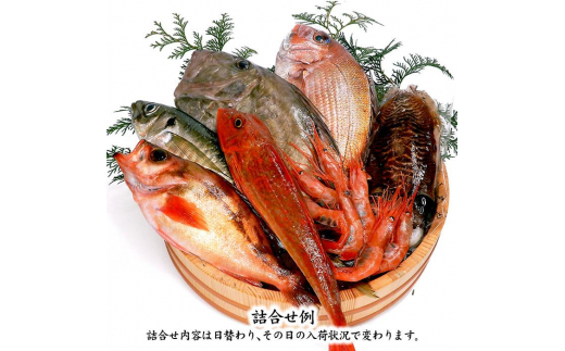 旬の鮮魚詰合せ 6～7種 下処理済み 旬 獲れたて 鮮魚 刺身用 詰合せ セット 海産物 海の幸 魚 魚介 おかず おつまみ 肴 国産 食品 復興 震災 コロナ 能登半島地震復興支援 北陸新幹線 F6P-0564