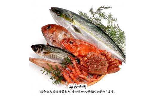 旬の鮮魚詰合せ 6～7種 下処理済み 旬 獲れたて 鮮魚 刺身用 詰合せ セット 海産物 海の幸 魚 魚介 おかず おつまみ 肴 国産 食品 復興 震災 コロナ 能登半島地震復興支援 北陸新幹線 F6P-0564