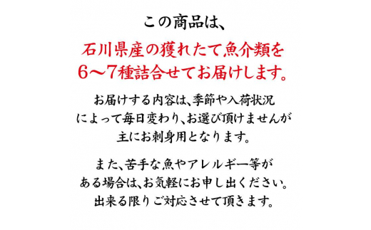 旬の鮮魚詰合せ 6～7種 下処理済み 旬 獲れたて 鮮魚 刺身用 詰合せ セット 海産物 海の幸 魚 魚介 おかず おつまみ 肴 国産 食品 復興 震災 コロナ 能登半島地震復興支援 北陸新幹線 F6P-0564