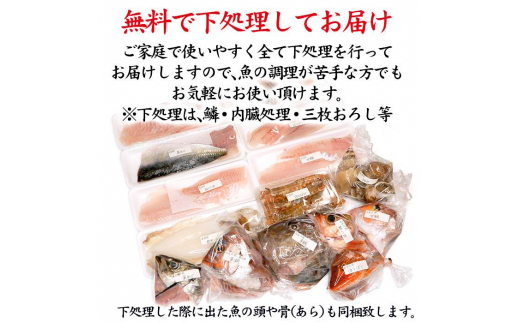 旬の鮮魚詰合せ 6～7種 下処理済み 旬 獲れたて 鮮魚 刺身用 詰合せ セット 海産物 海の幸 魚 魚介 おかず おつまみ 肴 国産 食品 復興 震災 コロナ 能登半島地震復興支援 北陸新幹線 F6P-0564