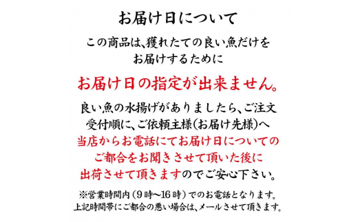 石川県・加賀市 旬の鮮魚 ( 刺身用/下処理済 ) 詰合せ 6～7種 F6P-0564