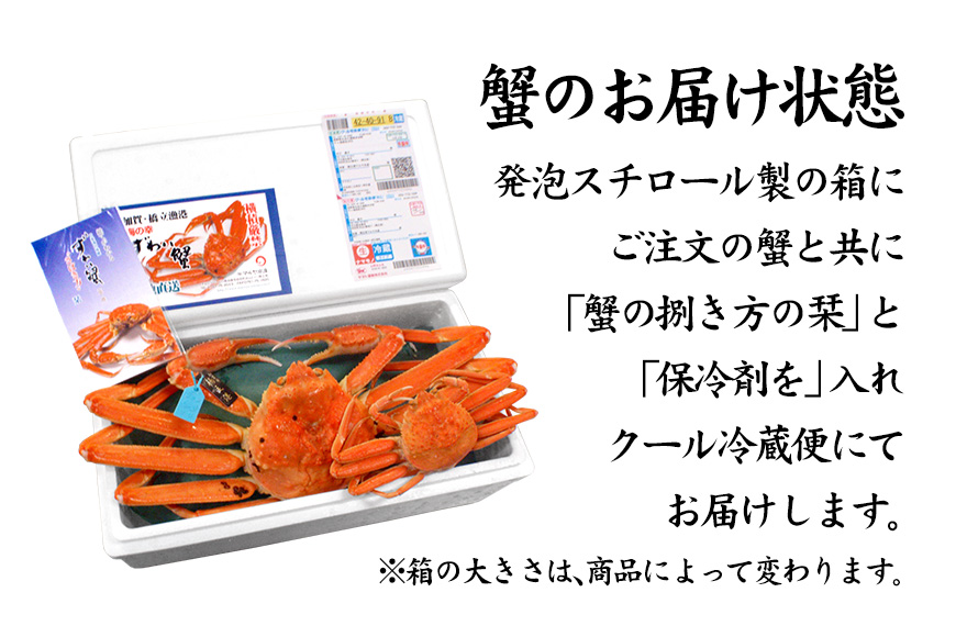 産地直送  加能かに 1匹 ズワイガニ 茹で上げ前重量 約1.0kg 産地証明タグ付 先行予約 予約 ブランド蟹 ボイル 茹で 蟹 かに  グルメ 海産物 海の幸 復興 震災 コロナ 能登半島地震復興支援 北陸新幹線 F6P-0679