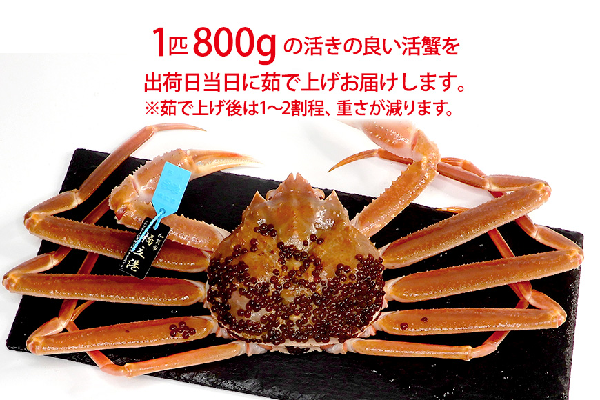 産地直送  加能かに 1匹 ズワイガニ 茹で上げ前重量 約800g 産地証明タグ付 先行予約 予約 ブランド蟹 ボイル 茹で 蟹 かに  グルメ 海産物 贈り物  復興 震災 コロナ 能登半島地震復興支援 北陸新幹線 F6P-0681