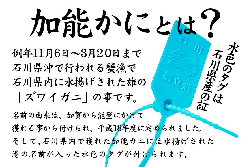 産地直送  加能かに 1匹 ズワイガニ 茹で上げ前重量 約700g 産地証明タグ付 先行予約 予約 ブランド蟹 ボイル 茹で 蟹 かに  グルメ 海産物 贈り物  復興 震災 コロナ 能登半島地震復興支援 北陸新幹線 F6P-0682