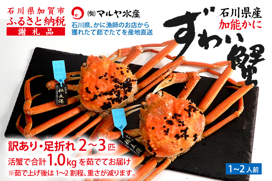 《訳あり》産地直送  加能かに 2～3匹 茹で上げ前重量 合計1.0kg 産地証明 訳あり 家庭用 自宅用 足折れ 先行予約 予約 ブランド蟹 ボイル 茹で 蟹 復興 震災 コロナ 能登半島地震復興支援 北陸新幹線 F6P-0691