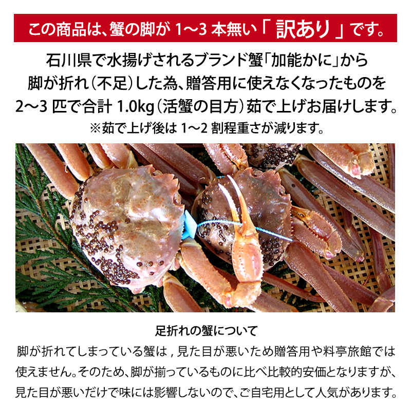 《訳あり》産地直送  加能かに 2～3匹 茹で上げ前重量 合計1.0kg 産地証明 訳あり 家庭用 自宅用 足折れ 先行予約 予約 ブランド蟹 ボイル 茹で 蟹 復興 震災 コロナ 能登半島地震復興支援 北陸新幹線 F6P-0691