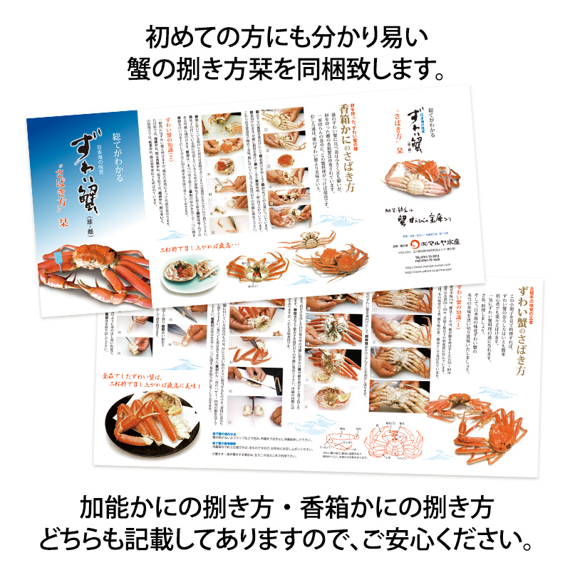 《訳あり》産地直送  加能かに 2～3匹 茹で上げ前重量 合計1.0kg 産地証明 訳あり 家庭用 自宅用 足折れ 先行予約 予約 ブランド蟹 ボイル 茹で 蟹 復興 震災 コロナ 能登半島地震復興支援 北陸新幹線 F6P-0691