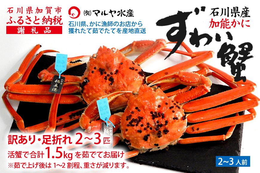 《訳あり》産地直送  加能かに 2～3匹 茹で上げ前重量 合計1.5kg 産地証明 訳あり 家庭用 自宅用 足折れ 先行予約 ブランド蟹 ボイル 茹で 蟹 かに  復興 震災 コロナ 能登半島地震復興支援 北陸新幹線 F6P-0692