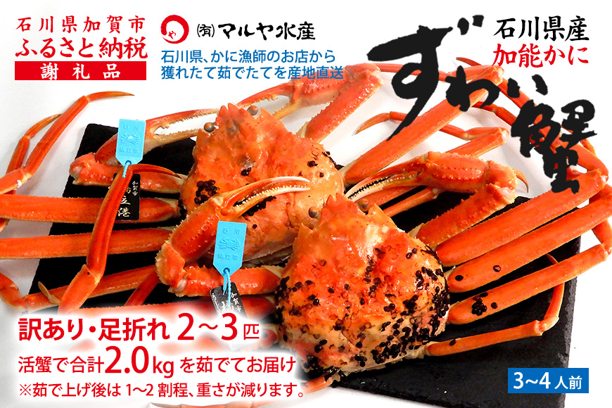 《訳あり》産地直送  加能かに 2～3匹 茹で上げ前重量 合計2.0kg 産地証明 訳あり 家庭用 自宅用 足折れ 先行予約 予約 ブランド蟹 ボイル 茹で 蟹 かに 復興 震災 コロナ 能登半島地震復興支援 北陸新幹線 F6P-0693