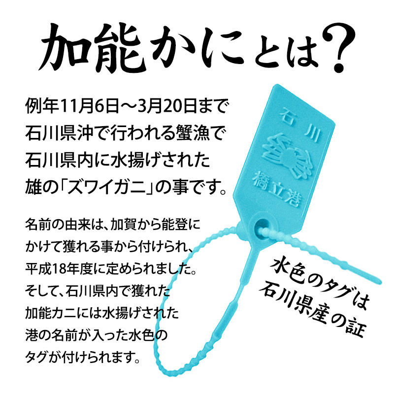 石川県産 加能かに/ズワイガニ ( 産地証明タグ付 ) 訳あり 足折れ 特大サイズ 2～3匹 合計2.5kg ※茹で上げ前重量 復興　震災　コロナ【能登半島地震復興支援】 北陸新幹線 F6P-0694