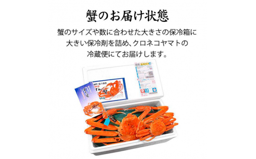 石川県産 加能かに/ズワイガニ ( 産地証明タグ付 ) 大サイズ 2匹 + 香箱かに 5匹 詰合せ ( 3～5人前 ) F6P-0696