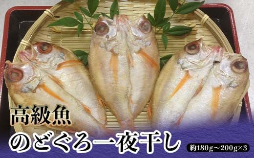 高級魚のどぐろ一夜干し 約180g～200g×3 一夜干し あかむつ類 のどぐろ ノドグロ 魚  グルメ 海産物 海の幸 干物 おつまみ 肴 食品 復興 震災 コロナ 能登半島地震復興支援 北陸新幹線 F6P-0704