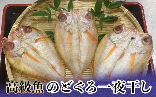 高級魚のどぐろ一夜干し 約120g～150g ×3 一夜干し あかむつ類 のどぐろ ノドグロ 魚  グルメ 海産物 海の幸 干物 おつまみ 肴 食品 復興 震災 コロナ 能登半島地震復興支援 北陸新幹線 F6P-2384