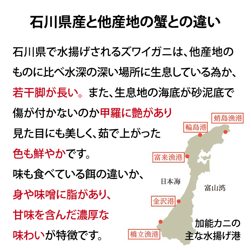 産地直送  加能かに 中サイズ 2匹＋香箱かに 3匹 詰合せ 1～2人前 食べ比べセット ズワイガニ ずわいがに 産地証明 先行予約 予約 ボイル 茹で 蟹 かに 復興 震災 コロナ 能登半島地震復興支援 北陸新幹線 F6P-0911