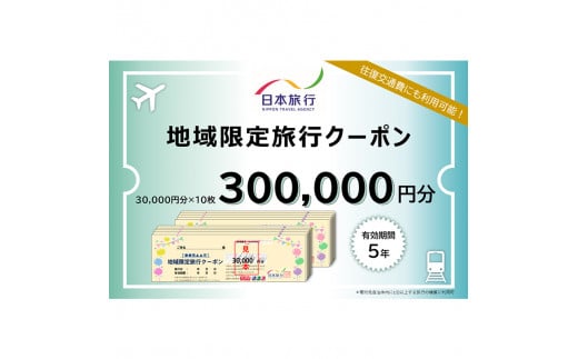 日本旅行 地域限定 旅行クーポン 300,000円分 旅行 クーポン 利用券 チケット宿泊 宿 旅館 ホテル レジャー 体験 交通 観光 トラベル 加賀市 復興 震災 コロナ 能登半島地震復興支援 北陸新幹線 F6P-1023