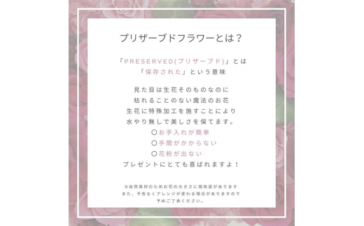 ããªã¶ãŒãããã©ã¯ãŒ ãã¬ãŒã ã¢ã¬ã³ãž ã¯ã¬ã»ã³ãã ãŒã³ ã¬ãã æ¯ããªãè± è± ãã©ã¯ãŒ ã¢ã¬ã³ãžã¡ã³ã 食ã ã€ã³ããªã¢ çµå©ç¥ã èªçæ¥ ãç¥ã åœç£ æ¥æ¬è£œ 埩è éçœ ã³ãã èœç»åå³¶å°éåŸ©èæ¯æŽ åéžæ°å¹¹ç· F6P-1352