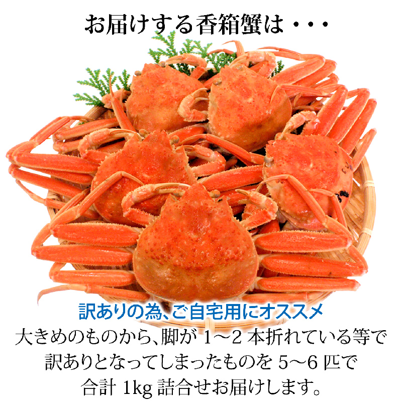 石川県産 香箱蟹 せいこ 足折れ 大きめ 1kg詰め合わせ (5～6匹) 浜茹で 産地直送 復興　震災　コロナ【能登半島地震復興支援】 北陸新幹線 F6P-1658