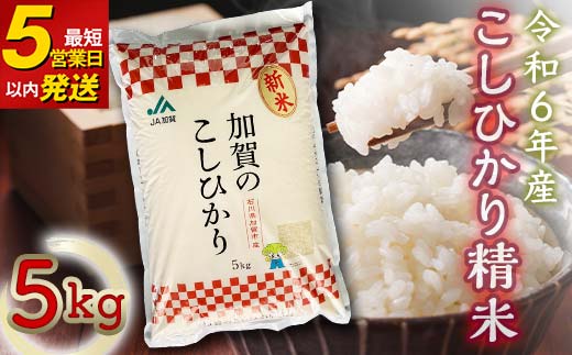 こしひかり 精米 5kg 令和6年産 コシヒカリ 9月中発送可 最短5営業日以内発送 銘柄米 お米 米 ギフト 贈り物  グルメ 食品 復興 震災 コロナ 能登半島地震復興支援 北陸新幹線 F6P-2110