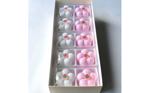 【2026年1月中旬以降発送】福薫る 10個入 御干菓子 和菓子 最中 もなか 松竹梅 山海堂  グルメ お菓子 菓子 食品 お土産 おやつ お茶請け お茶菓子 復興 震災 コロナ 能登半島地震復興支援 北陸新幹線 F6P-2045