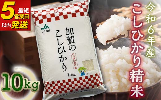 こしひかり 精米 10kg 令和6年産 コシヒカリ 9月中発送可 最短5営業日以内発送 銘柄米 お米 米 ギフト 贈り物  グルメ 食品 復興 震災 コロナ 能登半島地震復興支援 北陸新幹線 F6P-2111