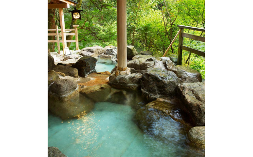 ãããåç¥¥äº å宀 å¹³æ¥éå® ãã¢å®¿æ³åž 1æ³2é£ä» 2å ã㢠é£äºä» æž©æ³ å®¿æ³åž æ
è¡ ãã©ãã« å®¿æ³ å®¿æ³æœèš 宿 ã¬ãžã£ãŒ F6P-0991