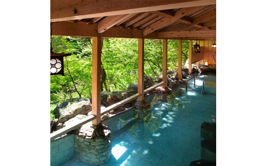 ãããåç¥¥äº å宀 å¹³æ¥éå® ãã¢å®¿æ³åž 1æ³2é£ä» 2å ã㢠é£äºä» æž©æ³ å®¿æ³åž æ
è¡ ãã©ãã« å®¿æ³ å®¿æ³æœèš 宿 ã¬ãžã£ãŒ F6P-0991